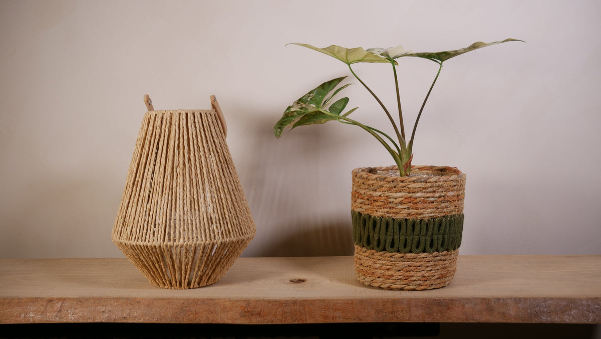 Nos caches-pots