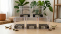 Cocons de germination pour bulbes d'Alocasia x5