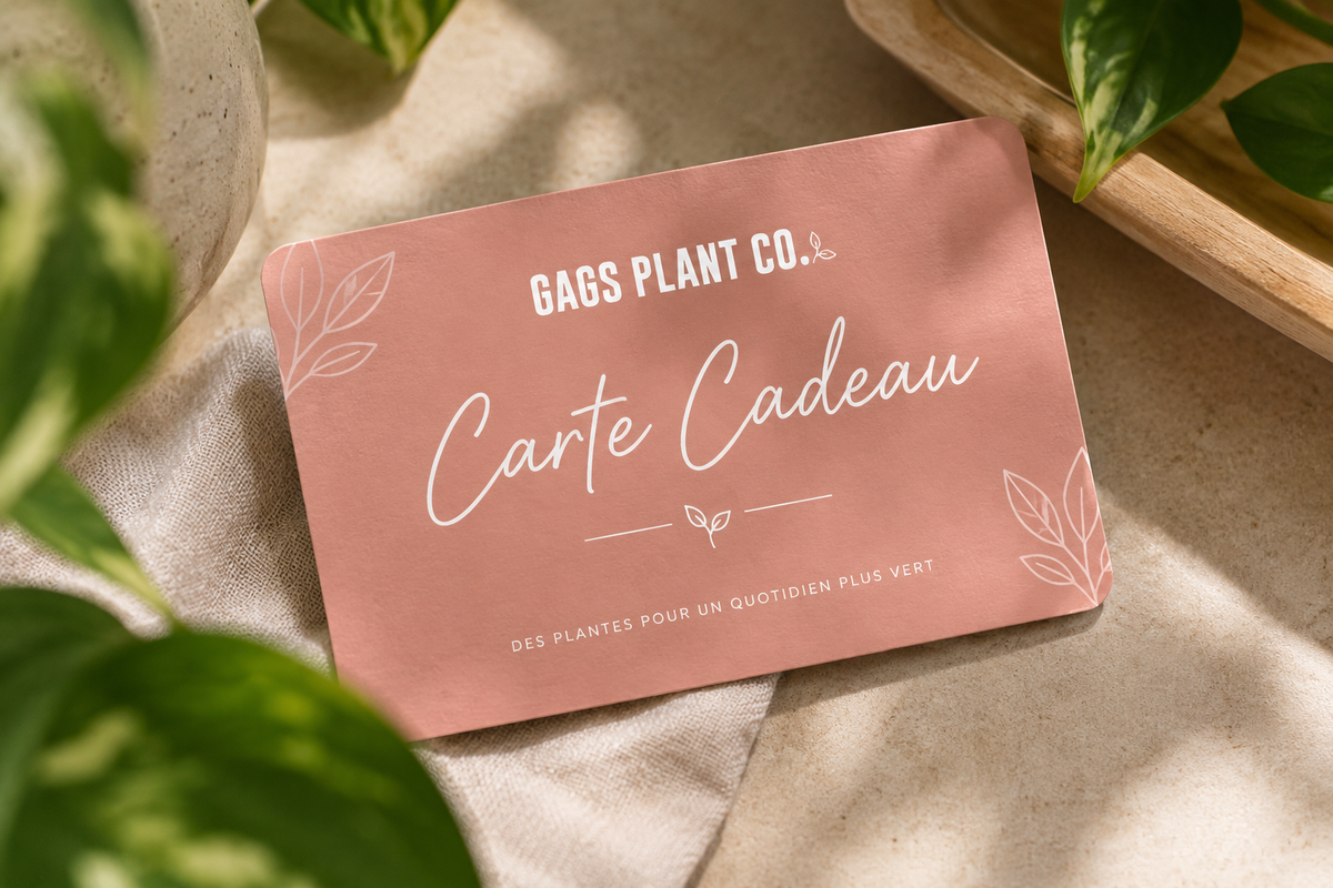 Carte cadeau GAGS PLANT CO.
