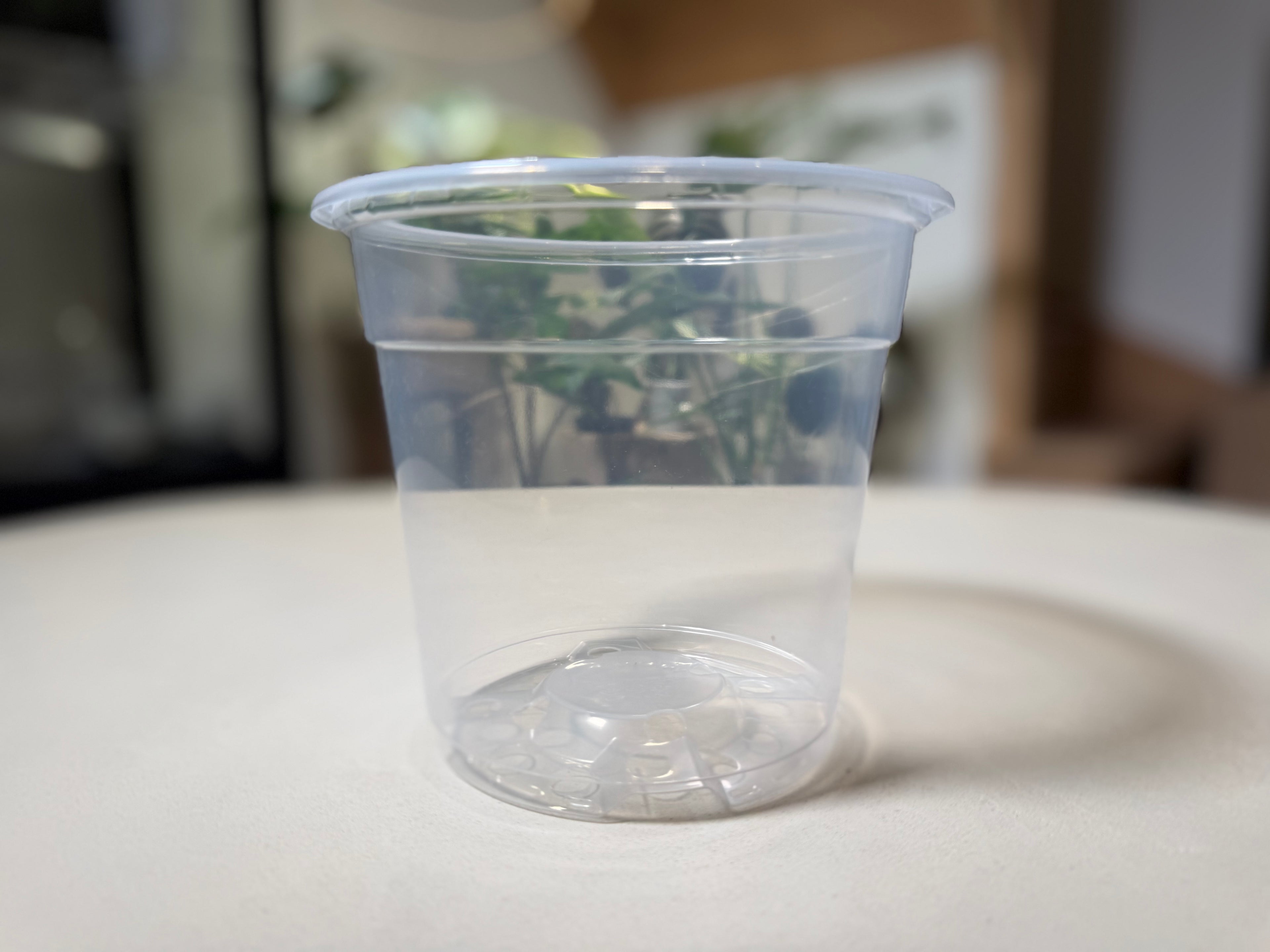 Pots de culture transparents + soucoupe
