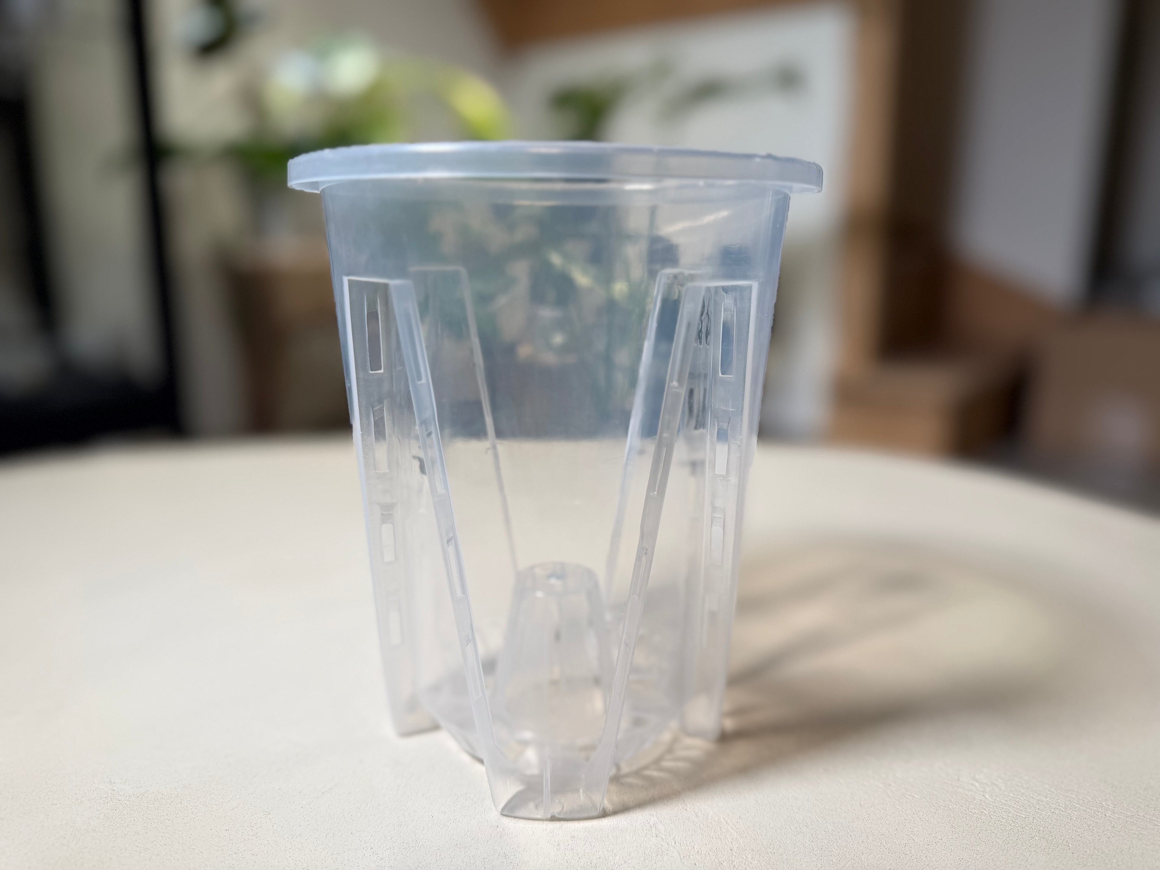 Pots aérés pour aroïdes transparents
