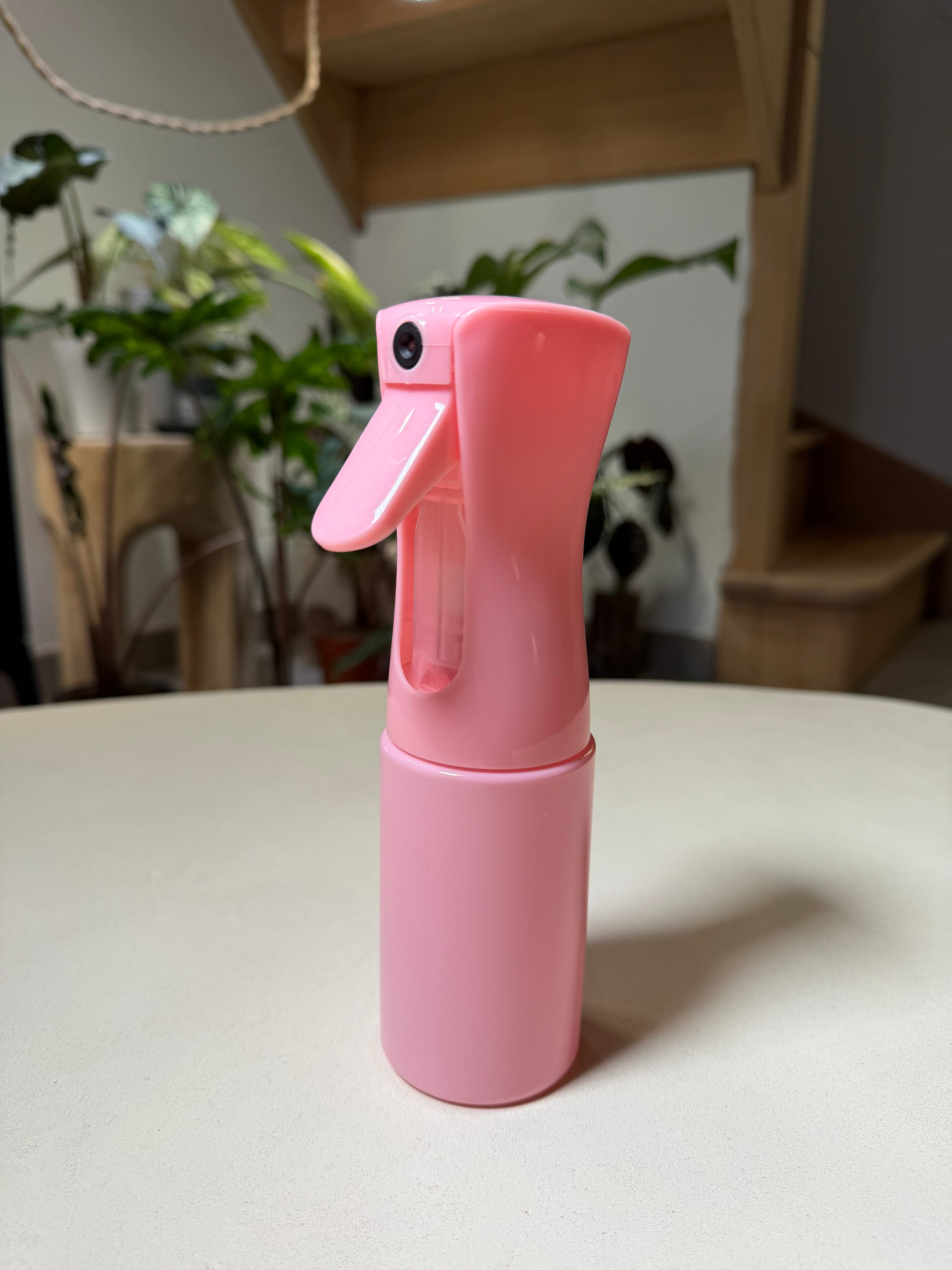 Vaporisateur brumisateur 200 ml