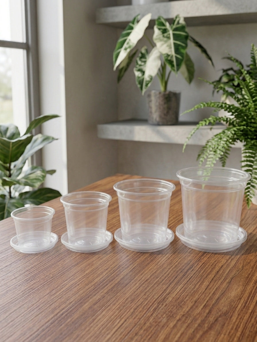 Pots de culture transparents + soucoupe