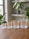 Pots de culture transparents + soucoupe