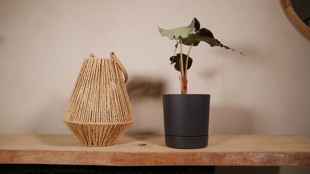Cache-pot Milano taille M — Lamela