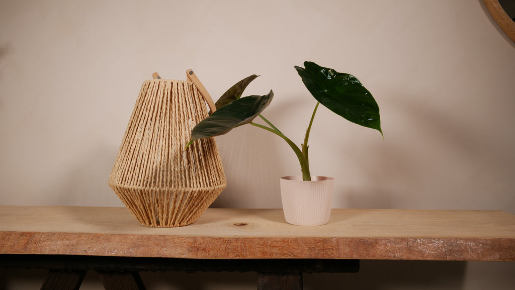 Cache-pot Torino taille S — Lamela