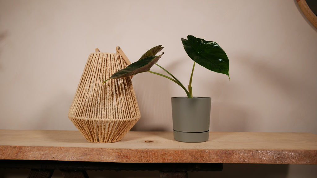 Cache-pot Milano taille S — Lamela