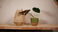 Cache-pot Malaga — Jute tressé vert olive & naturel