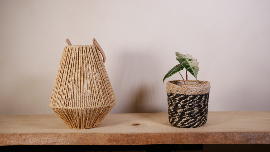 Cache-pot Alizé — Jute tressé naturel & noir