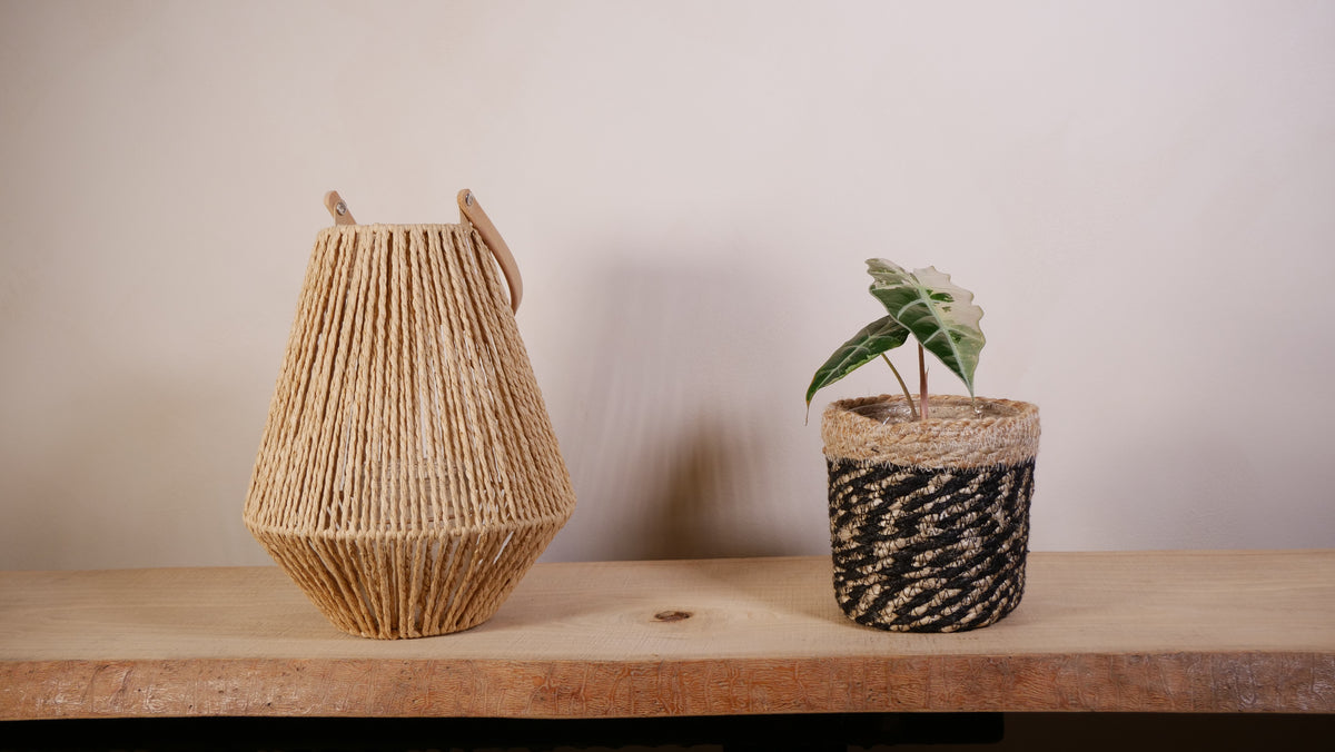 Cache-pot Alizé — Jute tressé naturel & noir