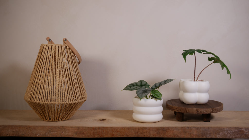 Caches-pots Bubble & Ring – Lot de 2