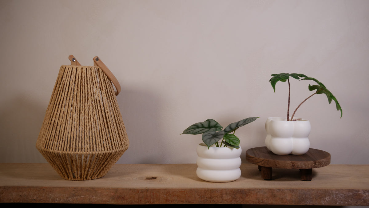 Caches-pots Bubble & Ring – Lot de 2